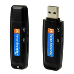 Load image into Gallery viewer, Enregistreur Vocale USB
